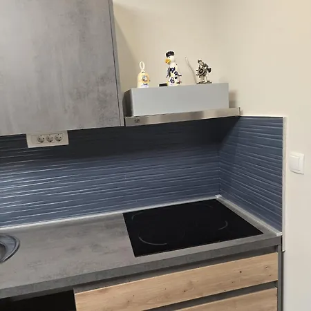 公寓 Marine Penthouse Ground Floor *